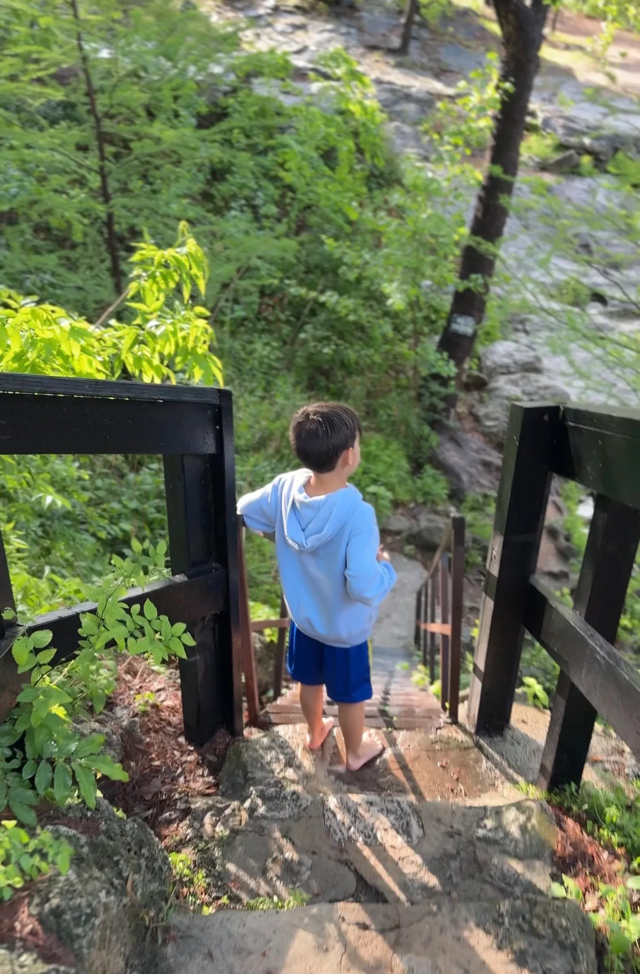 The Screen-Free Reset: A Practical Step-by-Step Guide for Parents